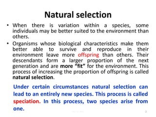 Natural selection
• When there is variation within a species, some
individuals may be better suited to the environment than
others.
• Organisms whose biological characteristics make them
better able to survive and reproduce in their
environment leave more offspring than others. Their
descendants form a larger proportion of the next
generation and are more “fit” for the environment. This
process of increasing the proportion of offspring is called
natural selection.
2
Under certain circumstances natural selection can
lead to an entirely new species. This process is called
speciation. In this process, two species arise from
one. Lec 12; MrL
 