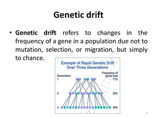Genetic drift
• Genetic drift refers to changes in the
frequency of a gene in a population due not to
mutation, selection, or migration, but simply
to chance.
3Lec 12; MrL
 