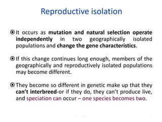 Reproductive isolation
It occurs as mutation and natural selection operate
independently in two geographically isolated
populations and change the gene characteristics.
If this change continues long enough, members of the
geographically and reproductively isolated populations
may become different.
They become so different in genetic make up that they
can’t interbreed-or if they do, they can’t produce live,
and speciation can occur – one species becomes two.
6Lec 12; MrL
 