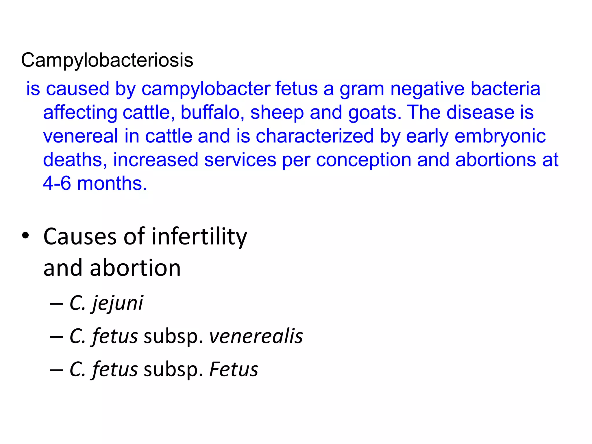 Campylobacteriosis
is caused by campylobacter fetus a gram negative bacteria
affecting cattle, buffalo, sheep and goats. The disease is
venereal in cattle and is characterized by early embryonic
deaths, increased services per conception and abortions at
4-6 months.
• Causes of infertility
and abortion
– C. jejuni
– C. fetus subsp. venerealis
– C. fetus subsp. Fetus
 