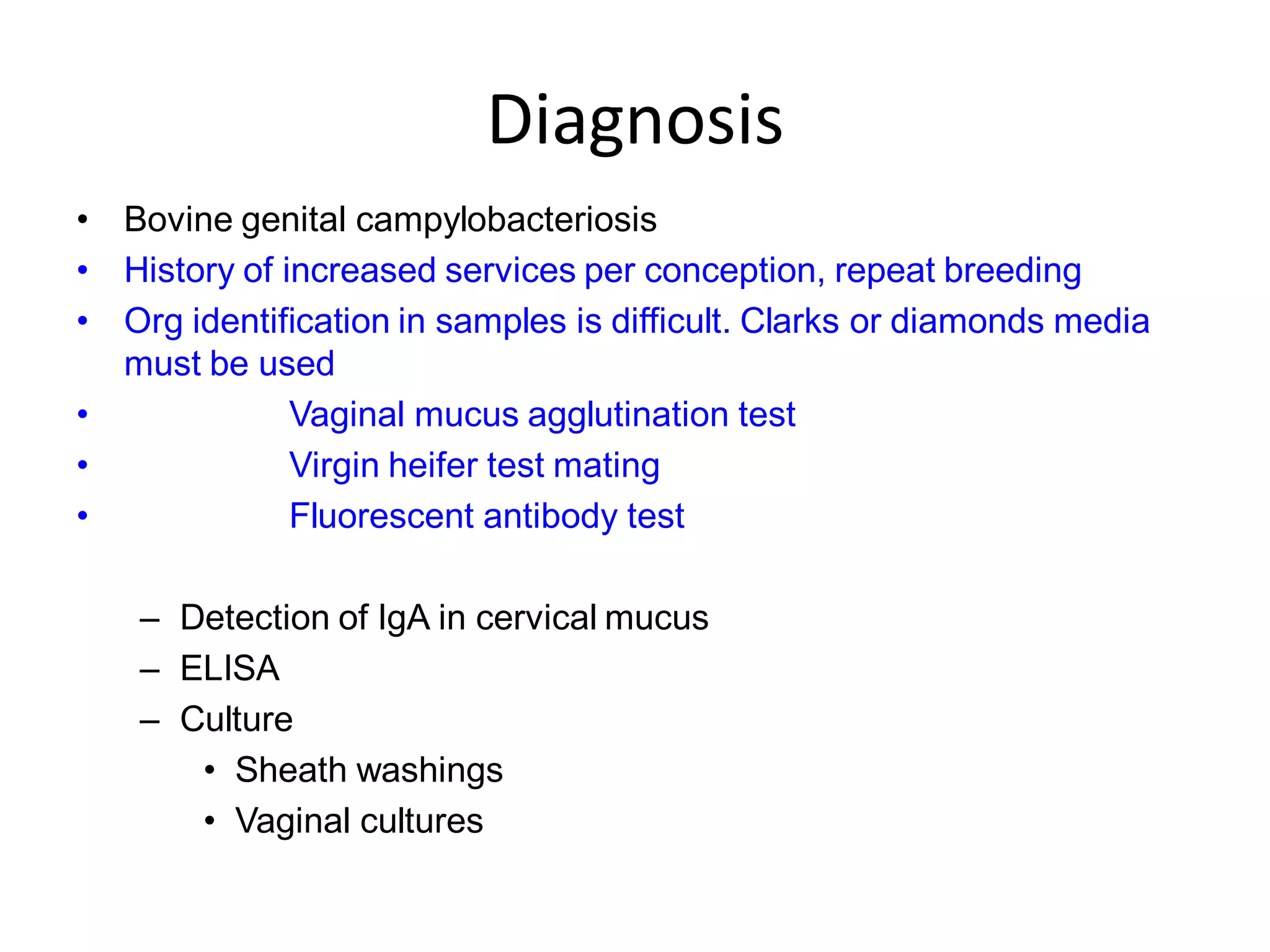 Diagnosis
• Bovine genital campylobacteriosis
• History of increased services per conception, repeat breeding
• Org identification in samples is difficult. Clarks or diamonds media
must be used
• Vaginal mucus agglutination test
• Virgin heifer test mating
• Fluorescent antibody test
– Detection of IgA in cervical mucus
– ELISA
– Culture
• Sheath washings
• Vaginal cultures
Center for Food Security and
Public Health, Iowa State
University, 2012
 