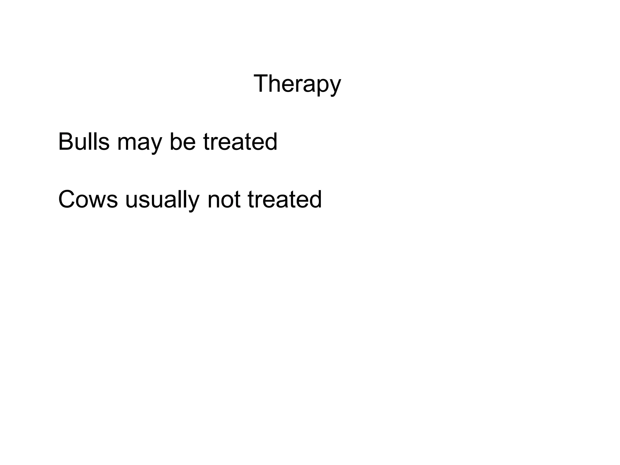 Therapy
Bulls may be treated
Cows usually not treated
 