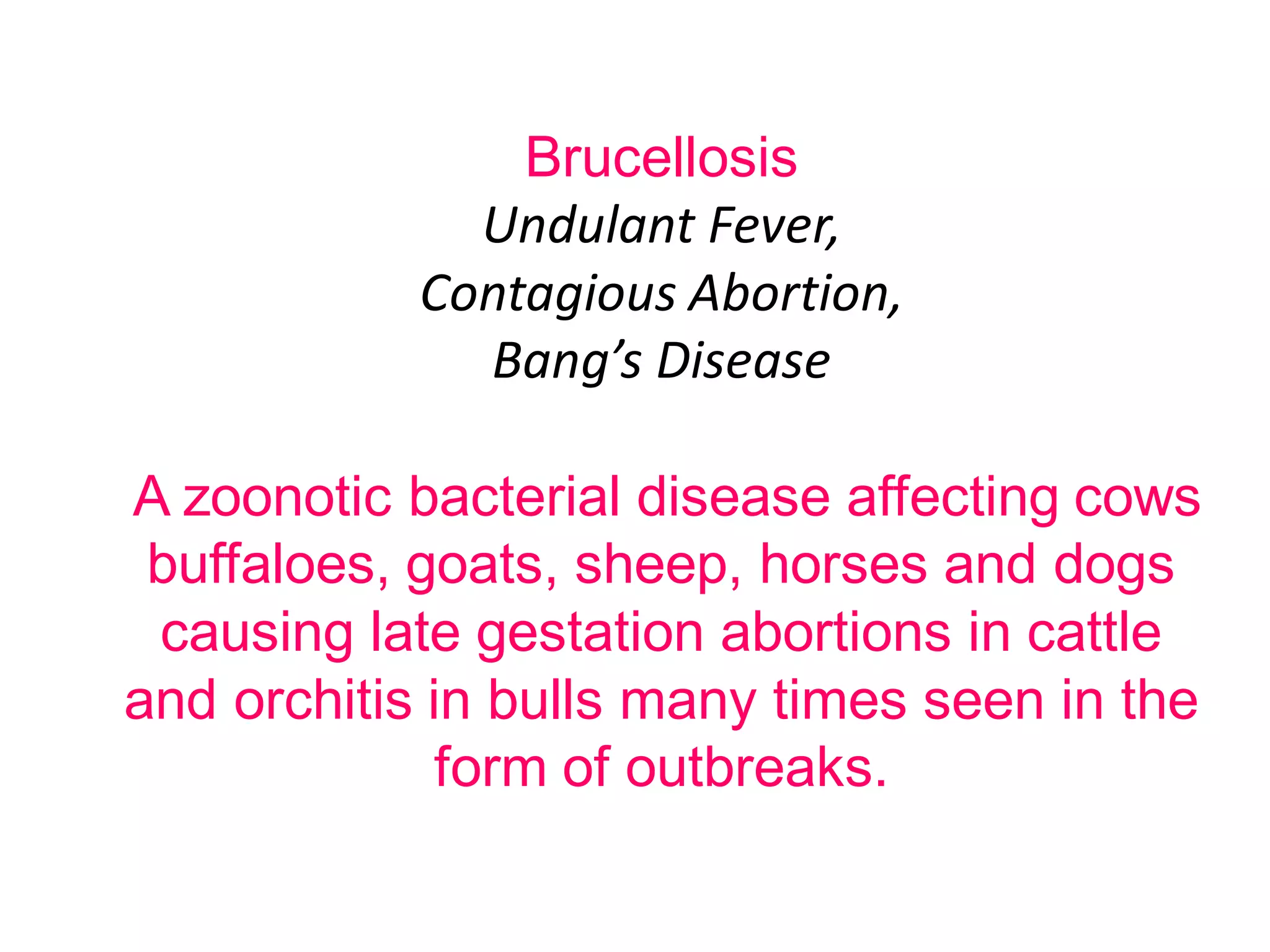 Brucellosis
Undulant Fever,
Contagious Abortion,
Bang’s Disease
A zoonotic bacterial disease affecting cows
buffaloes, goats, sheep, horses and dogs
causing late gestation abortions in cattle
and orchitis in bulls many times seen in the
form of outbreaks.
 