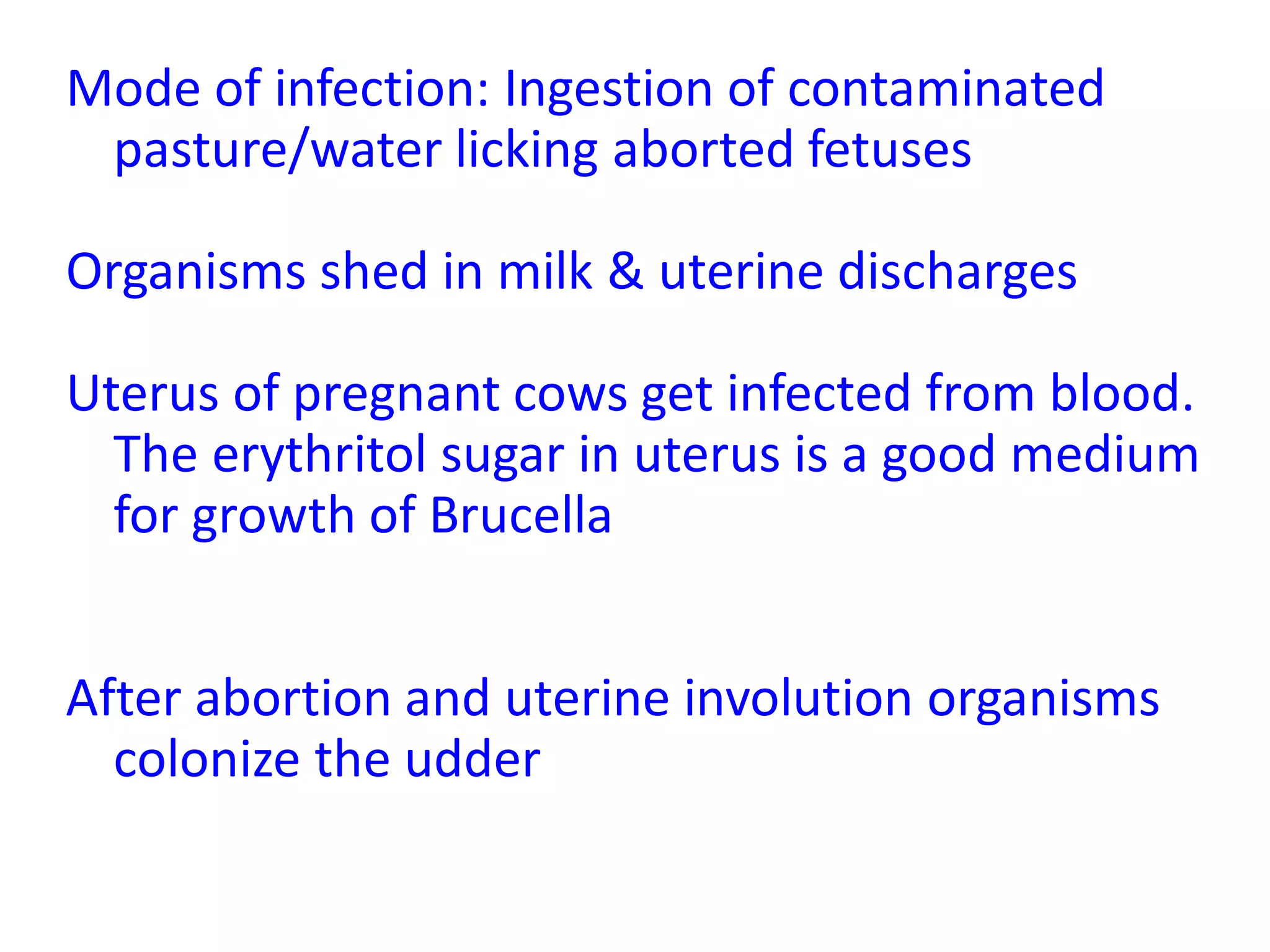 Mode of infection: Ingestion of contaminated
pasture/water licking aborted fetuses
Organisms shed in milk & uterine discharges
Uterus of pregnant cows get infected from blood.
The erythritol sugar in uterus is a good medium
for growth of Brucella
After abortion and uterine involution organisms
colonize the udder
 
