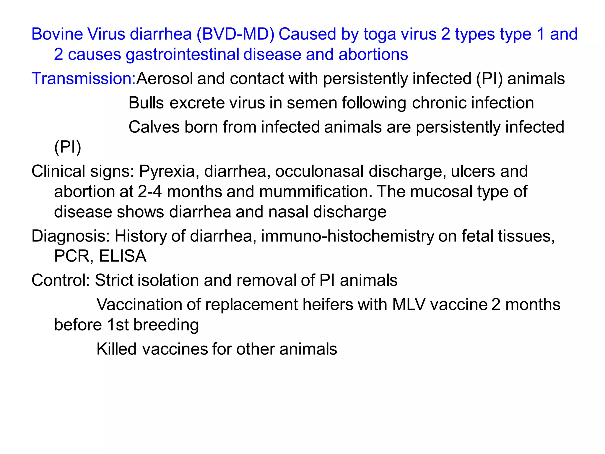Bovine Virus diarrhea (BVD-MD) Caused by toga virus 2 types type 1 and
2 causes gastrointestinal disease and abortions
Transmission:Aerosol and contact with persistently infected (PI) animals
Bulls excrete virus in semen following chronic infection
Calves born from infected animals are persistently infected
(PI)
Clinical signs: Pyrexia, diarrhea, occulonasal discharge, ulcers and
abortion at 2-4 months and mummification. The mucosal type of
disease shows diarrhea and nasal discharge
Diagnosis: History of diarrhea, immuno-histochemistry on fetal tissues,
PCR, ELISA
Control: Strict isolation and removal of PI animals
Vaccination of replacement heifers with MLV vaccine 2 months
before 1st breeding
Killed vaccines for other animals
 