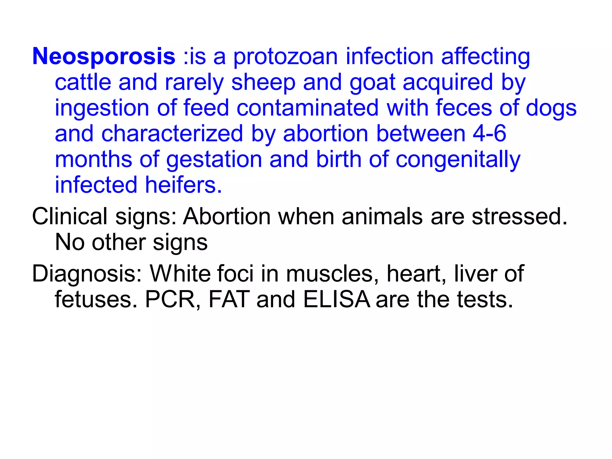 Neosporosis :is a protozoan infection affecting
cattle and rarely sheep and goat acquired by
ingestion of feed contaminated with feces of dogs
and characterized by abortion between 4-6
months of gestation and birth of congenitally
infected heifers.
Clinical signs: Abortion when animals are stressed.
No other signs
Diagnosis: White foci in muscles, heart, liver of
fetuses. PCR, FAT and ELISA are the tests.
 