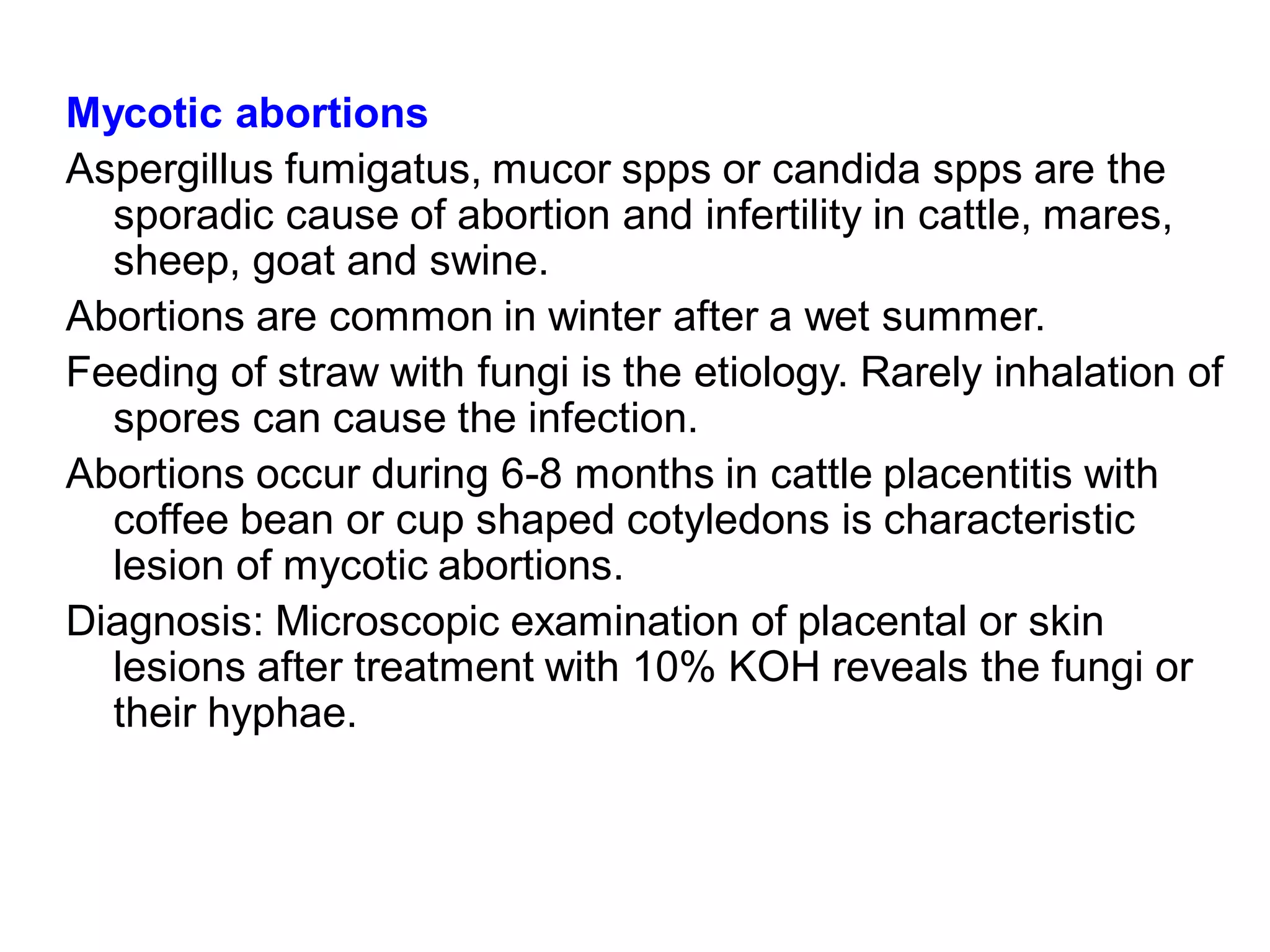 Mycotic abortions
Aspergillus fumigatus, mucor spps or candida spps are the
sporadic cause of abortion and infertility in cattle, mares,
sheep, goat and swine.
Abortions are common in winter after a wet summer.
Feeding of straw with fungi is the etiology. Rarely inhalation of
spores can cause the infection.
Abortions occur during 6-8 months in cattle placentitis with
coffee bean or cup shaped cotyledons is characteristic
lesion of mycotic abortions.
Diagnosis: Microscopic examination of placental or skin
lesions after treatment with 10% KOH reveals the fungi or
their hyphae.
 