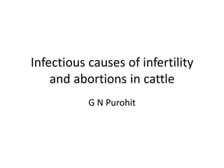 Infectious causes of infertility
and abortions in cattle
G N Purohit
 