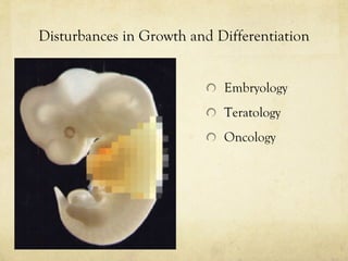 Disturbances in Growth and Differentiation ,[object Object],[object Object],[object Object]