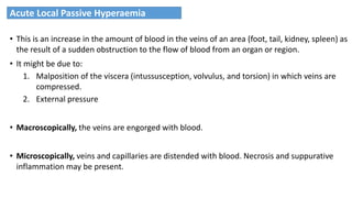 • This is an increase in the amount of blood in the veins of an area (foot, tail, kidney, spleen) as
the result of a sudden obstruction to the flow of blood from an organ or region.
• It might be due to:
1. Malposition of the viscera (intussusception, volvulus, and torsion) in which veins are
compressed.
2. External pressure
• Macroscopically, the veins are engorged with blood.
• Microscopically, veins and capillaries are distended with blood. Necrosis and suppurative
inflammation may be present.
Acute Local Passive Hyperaemia
 