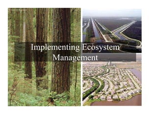 Implementing Ecosystem
Management
 
