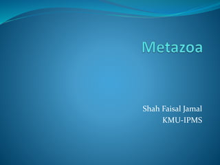 Shah Faisal Jamal
KMU-IPMS
 
