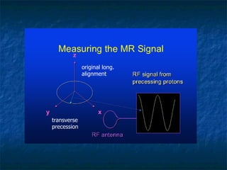 original long.
alignment
transverse
precession
 