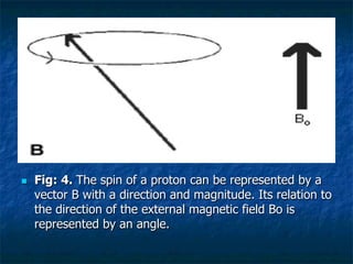 n  Fig: 4. The spin of a proton can be represented by a
vector B with a direction and magnitude. Its relation to
the direction of the external magnetic field Bo is
represented by an angle.
 