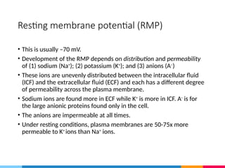 Development Rmp Lecture 12 Nervous system Modified S2 20232024.pptx