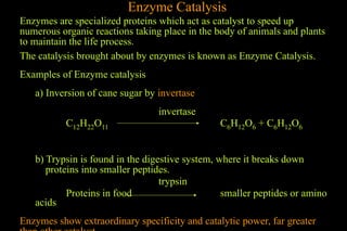 Enzyme Catalysis
Enzymes are specialized proteins which act as catalyst to speed up
numerous organic reactions taking place in the body of animals and plants
to maintain the life process.
The catalysis brought about by enzymes is known as Enzyme Catalysis.
Examples of Enzyme catalysis
a) Inversion of cane sugar by invertase
invertase
C12H22O11 C6H12O6 + C6H12O6
b) Trypsin is found in the digestive system, where it breaks down
proteins into smaller peptides.
trypsin
Proteins in food smaller peptides or amino
acids
Enzymes show extraordinary specificity and catalytic power, far greater
 