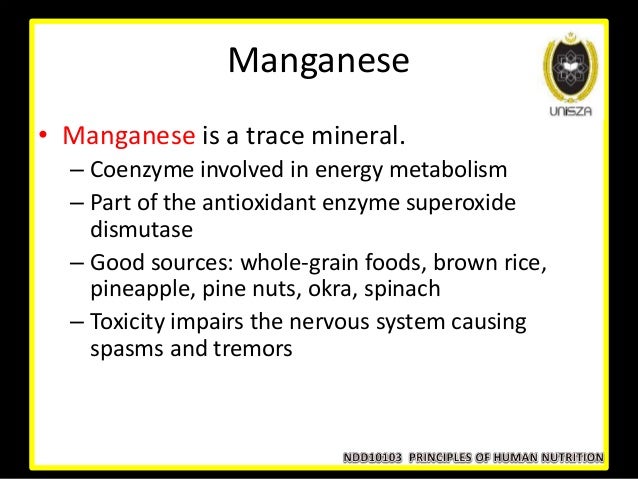 Foods That Are Good Sources Of Coenzyme Foods That Are Good Sources Of Coenzyme
