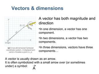 Vectors & dimensions A vector has both magnitude and direction In one dimension, a vector has one component.  In two dimensions, a vector has two components.  In three dimensions, vectors have three components… A vector is usually drawn as an arrow. It is often symbolized with a small arrow over (or sometimes under) a symbol: A 