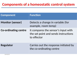 Comprehensive Overview of the Human Skeletal System and Homeostasis ...