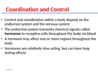 Control Systems In The Body Comprehensive Overview of the Human Skeletal System and Homeostasis ...