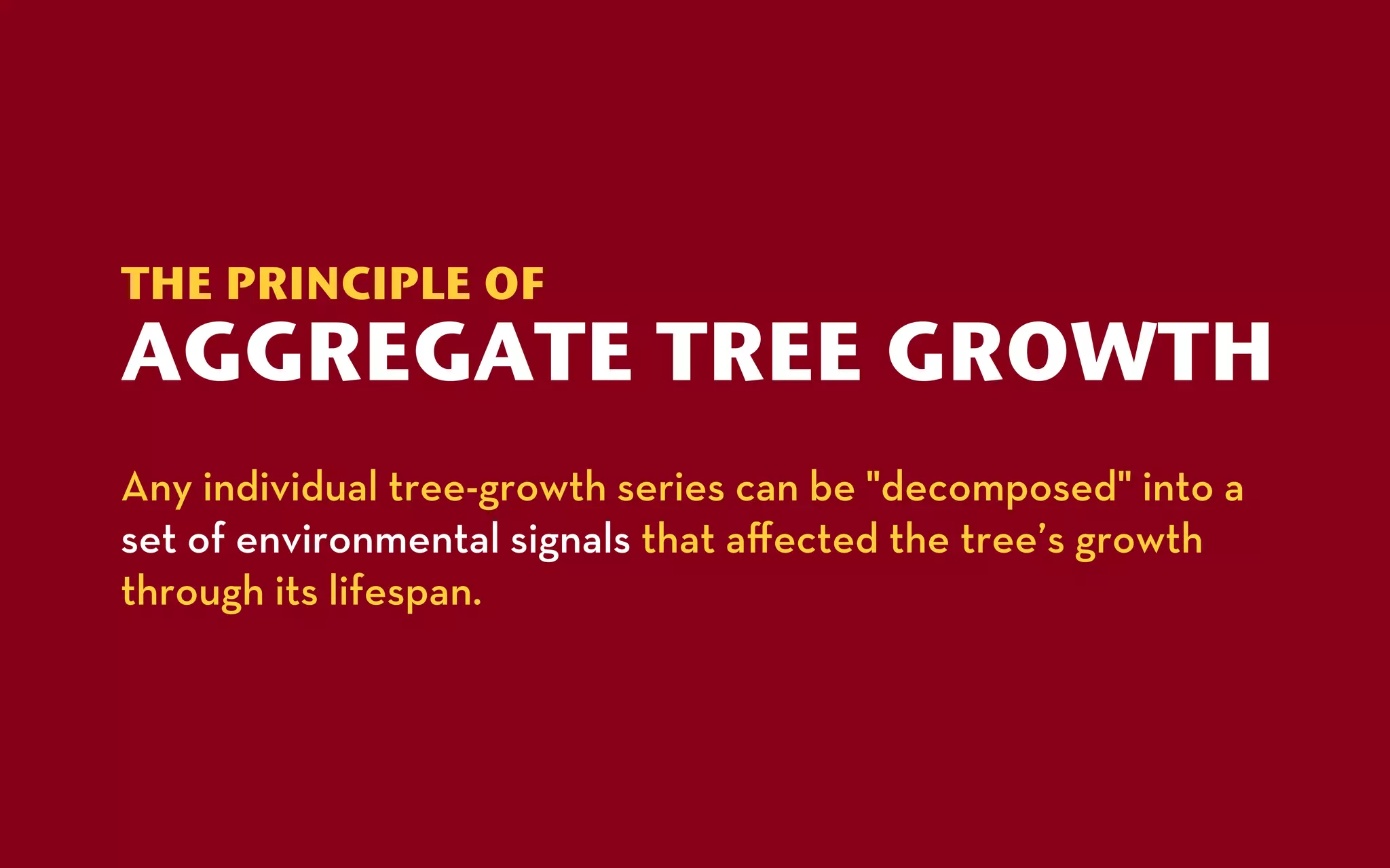GEOG5839.12, the linear aggreate model of tree growth | PDF