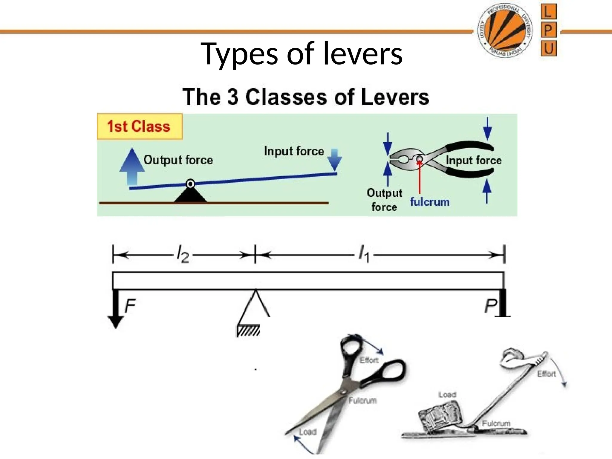Types of levers
 