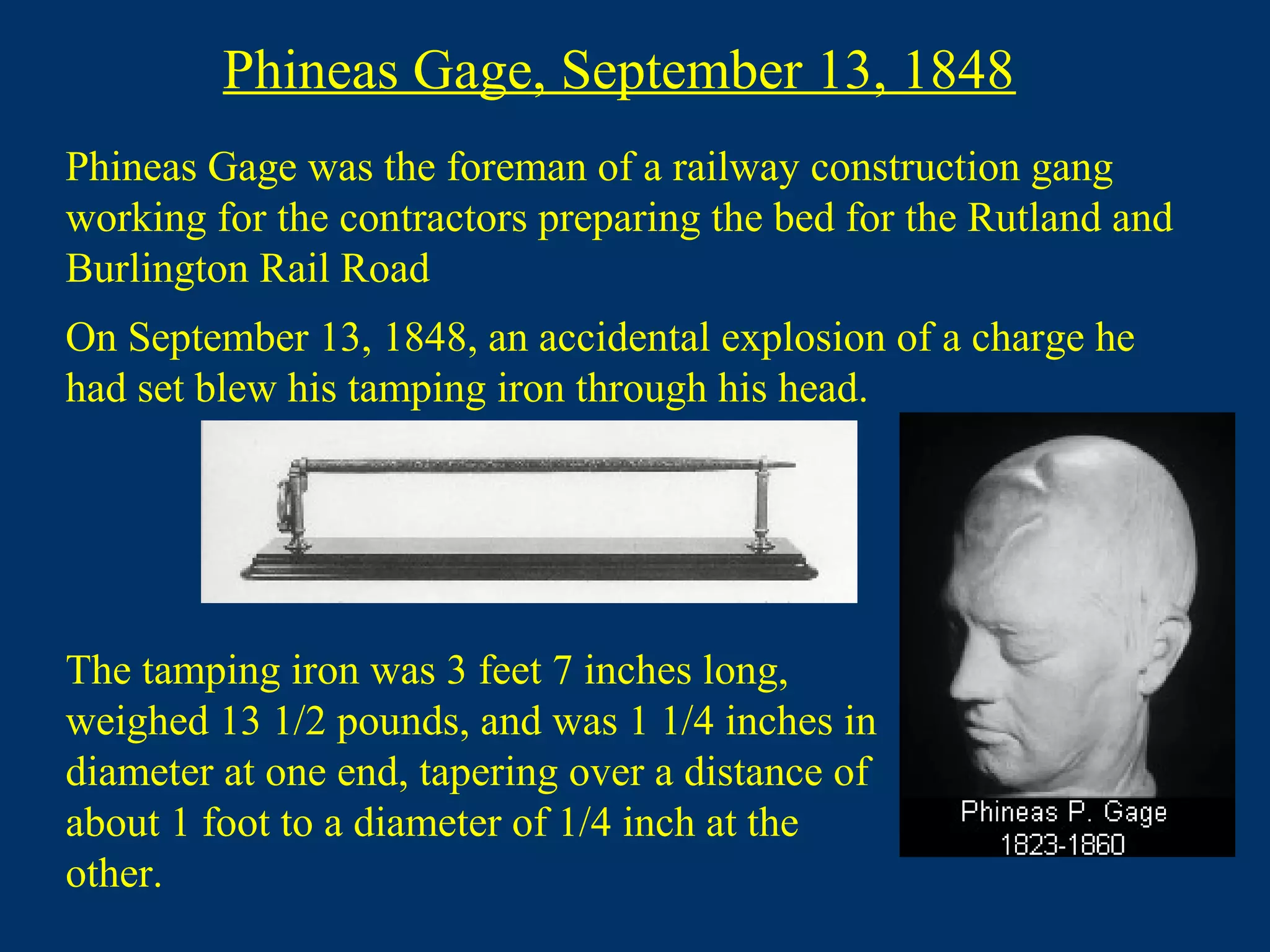 Phineas Gage was the foreman of a railway construction gang
working for the contractors preparing the bed for the Rutland and
Burlington Rail Road
The tamping iron was 3 feet 7 inches long,
weighed 13 1/2 pounds, and was 1 1/4 inches in
diameter at one end, tapering over a distance of
about 1 foot to a diameter of 1/4 inch at the
other.
Phineas Gage, September 13, 1848
On September 13, 1848, an accidental explosion of a charge he
had set blew his tamping iron through his head.
 