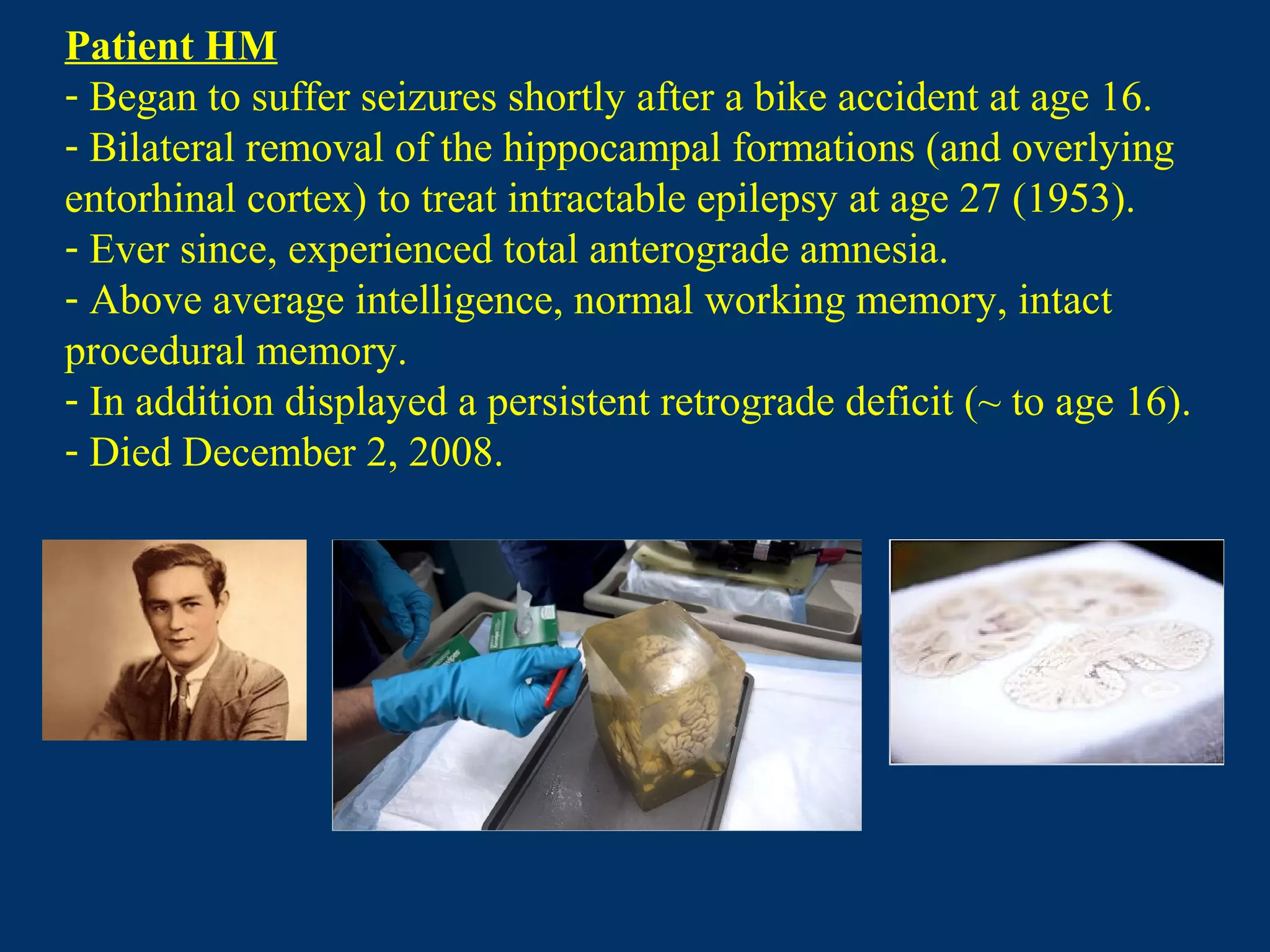 Patient HM
- Began to suffer seizures shortly after a bike accident at age 16.
- Bilateral removal of the hippocampal formations (and overlying
entorhinal cortex) to treat intractable epilepsy at age 27 (1953).
- Ever since, experienced total anterograde amnesia.
- Above average intelligence, normal working memory, intact
procedural memory.
- In addition displayed a persistent retrograde deficit (~ to age 16).
- Died December 2, 2008.
 