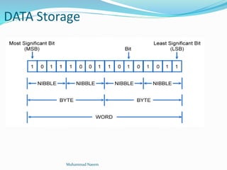 DATA Storage
Muhammad Naeem
 
