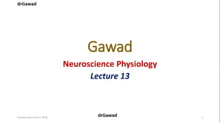 Gawad
Neuroscience Physiology
Lecture 13
Tuesday, December 4, 2018 1
 