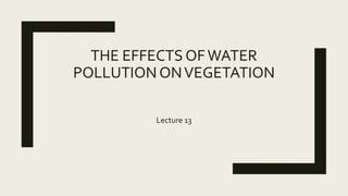 THE EFFECTS OFWATER
POLLUTIONONVEGETATION
Lecture 13
 