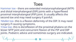 Toe Pip lecture 13.pptx. . | PPTX