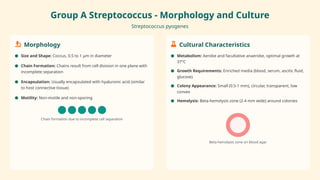 Strep Encapsulated Staphylococcus, Streptococcus: microbiology and clinical significance.pptx