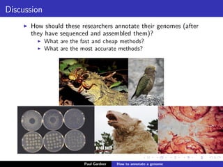 Annotate me!
TTACAGAGTACACAACATCCATGAAACGCATTAGCACCACCATTACCACCACCATCACCATTACCACAGGTAACGGTGCGGGCTGACGCGTACAGGAAA
CACAGAAAAAAGCCCGCACCTGACAGTGCGGGCTTTTTTTTTCGACCAAAGGTAACGAGGTAACAACCATGCGAGTGTTGAAGTTCGGCGGTACATCAG
TGGCAAATGCAGAACGTTTTCTGCGTGTTGCCGATATTCTGGAAAGCAATGCCAGGCAGGGGCAGGTGGCCACCGTCCTCTCTGCCCCCGCCAAAATCA
CCAACCACCTGGTGGCGATGATTGAAAAAACCATTAGCGGCCAGGATGCTTTACCCAATATCAGCGATGCCGAACGTATTTTTGCCGAACTTTTGACGG
GACTCGCCGCCGCCCAGCCGGGGTTCCCGCTGGCGCAATTGAAAACTTTCGTCGATCAGGAATTTGCCCAAATAAAACATGTCCTGCATGGCATTAGTT
TGTTGGGGCAGTGCCCGGATAGCATCAACGCTGCGCTGATTTGCCGTGGCGAGAAAATGTCGATCGCCATTATGGCCGGCGTATTAGAAGCGCGCGGTC
ACAACGTTACTGTTATCGATCCGGTCGAAAAACTGCTGGCAGTGGGGCATTACCTCGAATCTACCGTCGATATTGCTGAGTCCACCCGCCGTATTGCGG
CAAGCCGCATTCCGGCTGATCACATGGTGCTGATGGCAGGTTTCACCGCCGGTAATGAAAAAGGCGAACTGGTGGTGCTTGGACGCAACGGTTCCGACT
ACTCTGCTGCGGTGCTGGCTGCCTGTTTACGCGCCGATTGTTGCGAGATTTGGACGGACGTTGACGGGGTCTATACCTGCGACCCGCGTCAGGTGCCCG
ATGCGAGGTTGTTGAAGTCGATGTCCTACCAGGAAGCGATGGAGCTTTCCTACTTCGGCGCTAAAGTTCTTCACCCCCGCACCATTACCCCCATCGCCC
AGTTCCAGATCCCTTGCCTGATTAAAAATACCGGAAATCCTCAAGCACCAGGTACGCTCATTGGTGCCAGCCGTGATGAAGACGAATTACCGGTCAAGG
GCATTTCCAATCTGAATAACATGGCAATGTTCAGCGTTTCTGGTCCGGGGATGAAAGGGATGGTCGGCATGGCGGCGCGCGTCTTTGCAGCGATGTCAC
GCGCCCGTATTTCCGTGGTGCTGATTACGCAATCATCTTCCGAATACAGCATCAGTTTCTGCGTTCCACAAAGCGACTGTGTGCGAGCTGAACGGGCAA
TGCAGGAAGAGTTCTACCTGGAACTGAAAGAAGGCTTACTGGAGCCGCTGGCAGTGACGGAACGGCTGGCCATTATCTCGGTGGTAGGTGATGGTATGC
GCACCTTGCGTGGGATCTCGGCGAAATTCTTTGCCGCACTGGCCCGCGCCAATATCAACATTGTCGCCATTGCTCAGGGATCTTCTGAACGCTCAATCT
CTGTCGTGGTAAATAACGATGATGCGACCACTGGCGTGCGCGTTACTCATCAGATGCTGTTCAATACCGATCAGGTTATCGAAGTGTTTGTGATTGGCG
TCGGTGGCGTTGGCGGTGCGCTGCTGGAGCAACTGAAGCGTCAGCAAAGCTGGCTGAAGAATAAACATATCGACTTACGTGTCTGCGGTGTTGCCAACT
CGAAGGCTCTGCTCACCAATGTACATGGCCTTAATCTGGAAAACTGGCAGGAAGAACTGGCGCAAGCCAAAGAGCCGTTTAATCTCGGGCGCTTAATTC
GCCTCGTGAAAGAATATCATCTGCTGAACCCGGTCATTGTTGACTGCACTTCCAGCCAGGCAGTGGCGGATCAATATGCCGACTTCCTGCGCGAAGGTT
TCCACGTTGTCACGCCGAACAAAAAGGCCAACACCTCGTCGATGGATTACTACCATCAGTTGCGTTATGCGGCGGAAAAATCGCGGCGTAAATTCCTCT
ATGACACCAACGTTGGGGCTGGATTACCGGTTATTGAGAACCTGCAAAATCTGCTCAATGCAGGTGATGAATTGATGAAGTTCTCCGGCATTCTTTCTG
GTTCGCTTTCTTATATCTTCGGCAAGTTAGACGAAGGCATGAGTTTCTCCGAGGCGACCACGCTGGCGCGGGAAATGGGTTATACCGAACCGGACCCGC
GAGATGATCTTTCTGGTATGGATGTGGCGCGTAAACTATTGATTCTCGCTCGTGAAACGGGACGTGAACTGGAGCTGGCGGATATTGAAATTGAACCTG
TGCTGCCCGCAGAGTTTAACGCCGAGGGTGATGTTGCCGCTTTTATGGCGAATCTGTCACAACTCGACGATCTCTTTGCCGCGCGCGTGGCGAAGGCCC
GTGATGAAGGAAAAGTTTTGCGCTATGTTGGCAATATTGATGAAGATGGCGTCTGCCGCGTGAAGATTGCCGAAGTGGATGGTAATGATCCGCTGTTCA
AAGTGAAAAATGGCGAAAACGCCCTGGCCTTCTATAGCCACTATTATCAGCCGCTGCCGTTGGTACTGCGCGGATATGGTGCGGGCAATGACGTTACAG
CTGCCGGTGTCTTTGCTGATCTGCTACGTACCCTCTCATGGAAGTTAGGAGTCTGACATGGTTAAAGTTTATGCCCCCATGGTTAAAGTTTATGCCCCG
GCTTCCAGTGCCAATATGAGCGTCGGGTTTGATGTGCTCGGGGCGGCGGTGACACCTGTTGATGGTGCATTGCTCGGAGATGTAGTCACGGTTGAGGCG
GCAGAGACATTCAGTCTCAACAACCTCGGACGCTTTGCCGATAAGCTGCCGTCAGAACCACGGGAAAATATCGTTTATCA
Paul Gardner Genome annotation
 