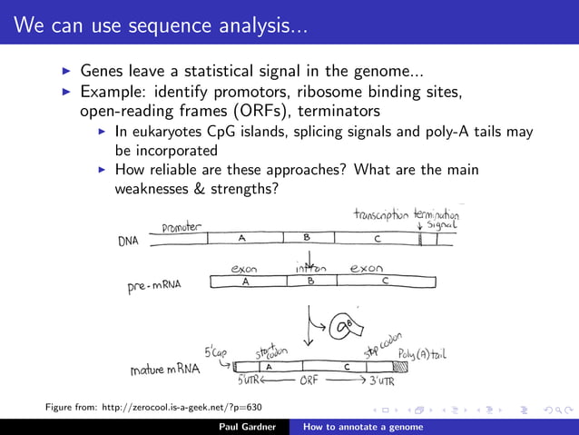 BIOL335: How to annotate a genome | PDF