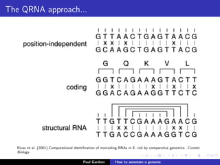 Sequence analysis: strengths and weaknesses
ORF prediction: Prodigal, GLIMMER
Strengths:
very fast
cheap
Weaknesses:
false positives (see AntiFam)
misses short peptides (e.g. toxins-antitoxin systems)
No ncRNAs, pseudogenes, recoding elements, ...
Paul Gardner Genome annotation
 