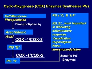 Lecture 13- Non Steroidal Anti- Inflammatory Drugs.pptx