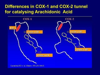 Lecture 13- Non Steroidal Anti- Inflammatory Drugs.pptx