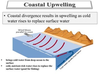 • Coastal divergence results in upwelling as cold
water rises to replace surface water




brings cold water from deep ocean to the
surface
cold, nutrient-rich water rises to replace the
surface water (good for fishing)

 