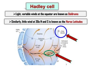 Hadley cell
Light, variable winds at the equator are known as Doldrums
Similarly, little wind at 30o N and S is known as the Horse Latitudes

3

 