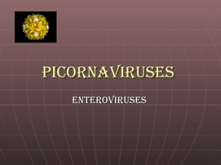 Picornaviruses   Enteroviruses  
