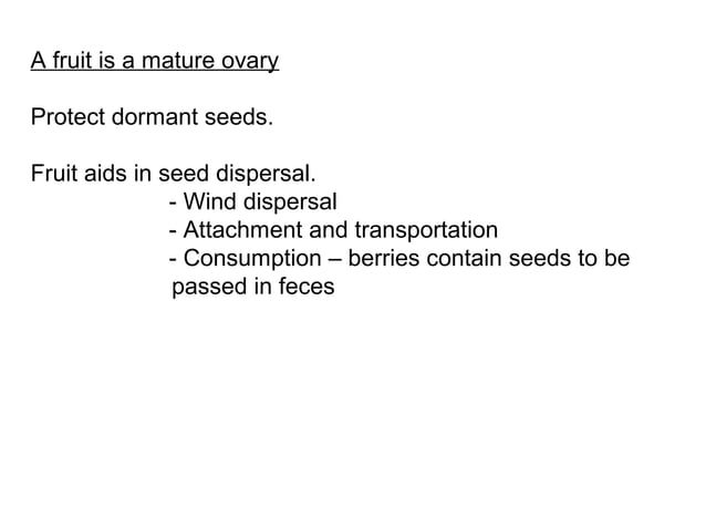 Lecture 13 plant diversity 2 | PPT | Free Download
