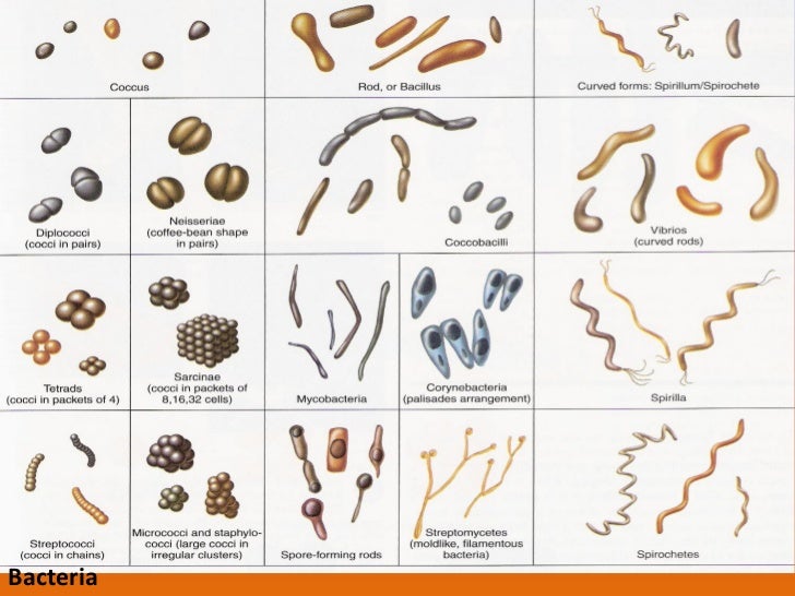 Lecture 13 types and characterization of waste water