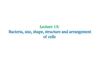 Comprehensive Overview of Bacterial Cell Structure, Size, Shape, and ...