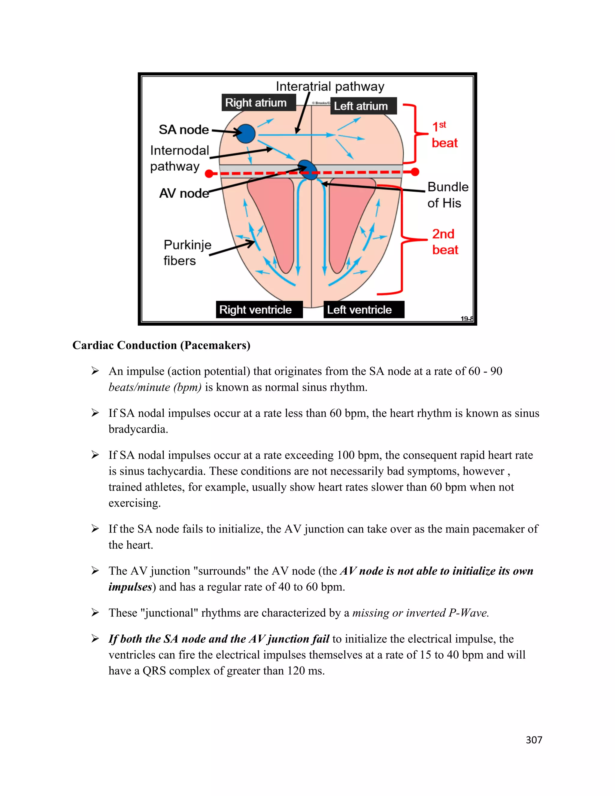 307 
 
Cardiac Conduction (Pacemakers)
 An impulse (action potential) that originates from the SA node at a rate of 60 - 90
beats/minute (bpm) is known as normal sinus rhythm.
 If SA nodal impulses occur at a rate less than 60 bpm, the heart rhythm is known as sinus
bradycardia.
 If SA nodal impulses occur at a rate exceeding 100 bpm, the consequent rapid heart rate
is sinus tachycardia. These conditions are not necessarily bad symptoms, however ,
trained athletes, for example, usually show heart rates slower than 60 bpm when not
exercising.
 If the SA node fails to initialize, the AV junction can take over as the main pacemaker of
the heart.
 The AV junction "surrounds" the AV node (the AV node is not able to initialize its own
impulses) and has a regular rate of 40 to 60 bpm.
 These "junctional" rhythms are characterized by a missing or inverted P-Wave.
 If both the SA node and the AV junction fail to initialize the electrical impulse, the
ventricles can fire the electrical impulses themselves at a rate of 15 to 40 bpm and will
have a QRS complex of greater than 120 ms.
 