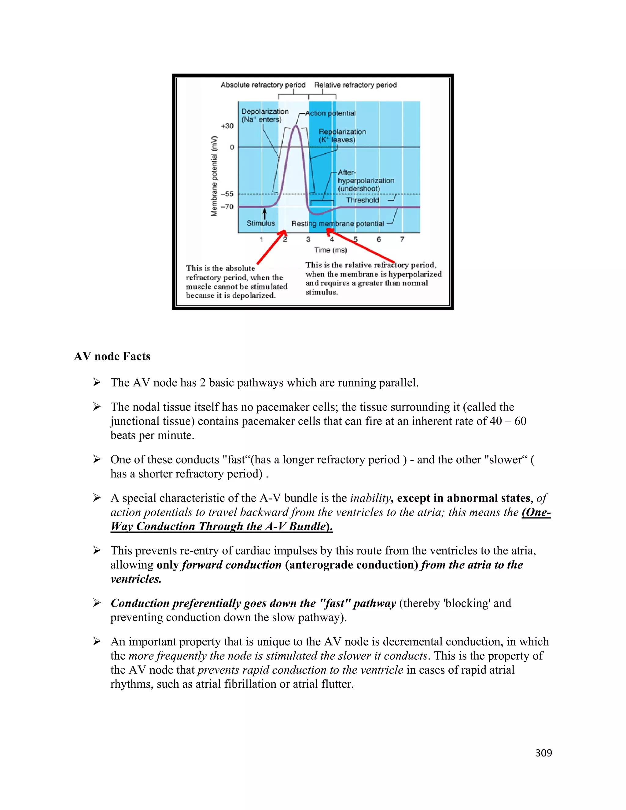 309 
 
AV node Facts
 The AV node has 2 basic pathways which are running parallel.
 The nodal tissue itself has no pacemaker cells; the tissue surrounding it (called the
junctional tissue) contains pacemaker cells that can fire at an inherent rate of 40 – 60
beats per minute.
 One of these conducts "fast“(has a longer refractory period ) - and the other "slower“ (
has a shorter refractory period) .
 A special characteristic of the A-V bundle is the inability, except in abnormal states, of
action potentials to travel backward from the ventricles to the atria; this means the (One-
Way Conduction Through the A-V Bundle).
 This prevents re-entry of cardiac impulses by this route from the ventricles to the atria,
allowing only forward conduction (anterograde conduction) from the atria to the
ventricles.
 Conduction preferentially goes down the "fast" pathway (thereby 'blocking' and
preventing conduction down the slow pathway).
 An important property that is unique to the AV node is decremental conduction, in which
the more frequently the node is stimulated the slower it conducts. This is the property of
the AV node that prevents rapid conduction to the ventricle in cases of rapid atrial
rhythms, such as atrial fibrillation or atrial flutter.
 