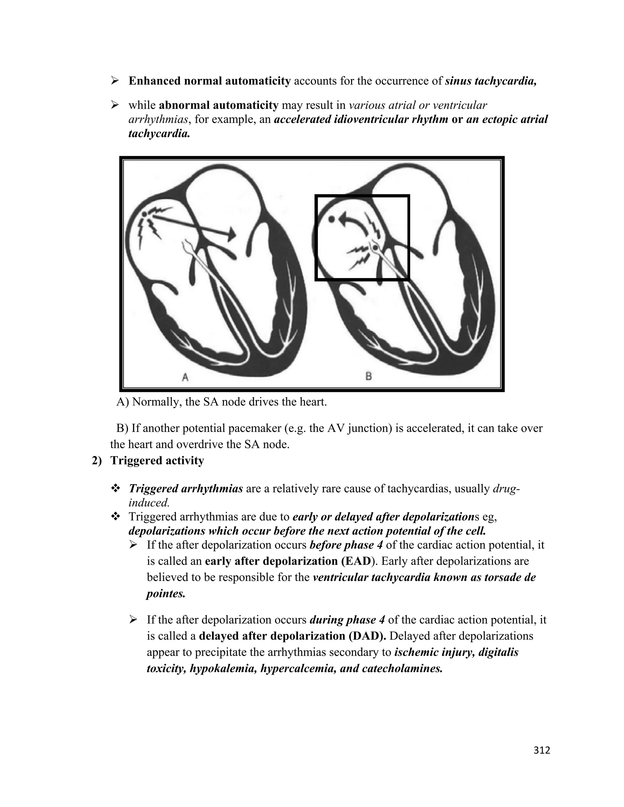 312 
 
 Enhanced normal automaticity accounts for the occurrence of sinus tachycardia,
 while abnormal automaticity may result in various atrial or ventricular
arrhythmias, for example, an accelerated idioventricular rhythm or an ectopic atrial
tachycardia.
A) Normally, the SA node drives the heart.
B) If another potential pacemaker (e.g. the AV junction) is accelerated, it can take over
the heart and overdrive the SA node.
2) Triggered activity
 Triggered arrhythmias are a relatively rare cause of tachycardias, usually drug-
induced.
 Triggered arrhythmias are due to early or delayed after depolarizations eg,
depolarizations which occur before the next action potential of the cell.
 If the after depolarization occurs before phase 4 of the cardiac action potential, it
is called an early after depolarization (EAD). Early after depolarizations are
believed to be responsible for the ventricular tachycardia known as torsade de
pointes.
 If the after depolarization occurs during phase 4 of the cardiac action potential, it
is called a delayed after depolarization (DAD). Delayed after depolarizations
appear to precipitate the arrhythmias secondary to ischemic injury, digitalis
toxicity, hypokalemia, hypercalcemia, and catecholamines.
 