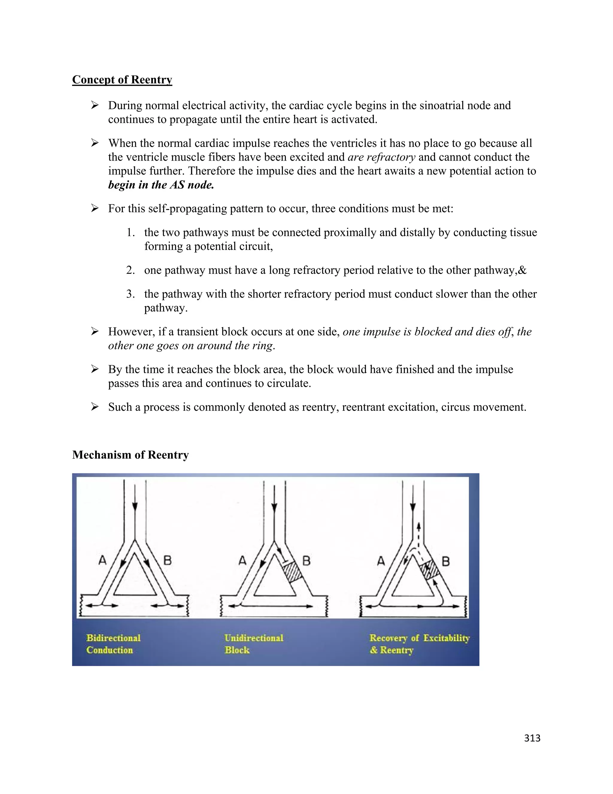 313 
 
Concept of Reentry
 During normal electrical activity, the cardiac cycle begins in the sinoatrial node and
continues to propagate until the entire heart is activated.
 When the normal cardiac impulse reaches the ventricles it has no place to go because all
the ventricle muscle fibers have been excited and are refractory and cannot conduct the
impulse further. Therefore the impulse dies and the heart awaits a new potential action to
begin in the AS node.
 For this self-propagating pattern to occur, three conditions must be met:
1. the two pathways must be connected proximally and distally by conducting tissue
forming a potential circuit,
2. one pathway must have a long refractory period relative to the other pathway,&
3. the pathway with the shorter refractory period must conduct slower than the other
pathway.
 However, if a transient block occurs at one side, one impulse is blocked and dies off, the
other one goes on around the ring.
 By the time it reaches the block area, the block would have finished and the impulse
passes this area and continues to circulate.
 Such a process is commonly denoted as reentry, reentrant excitation, circus movement.
Mechanism of Reentry
 