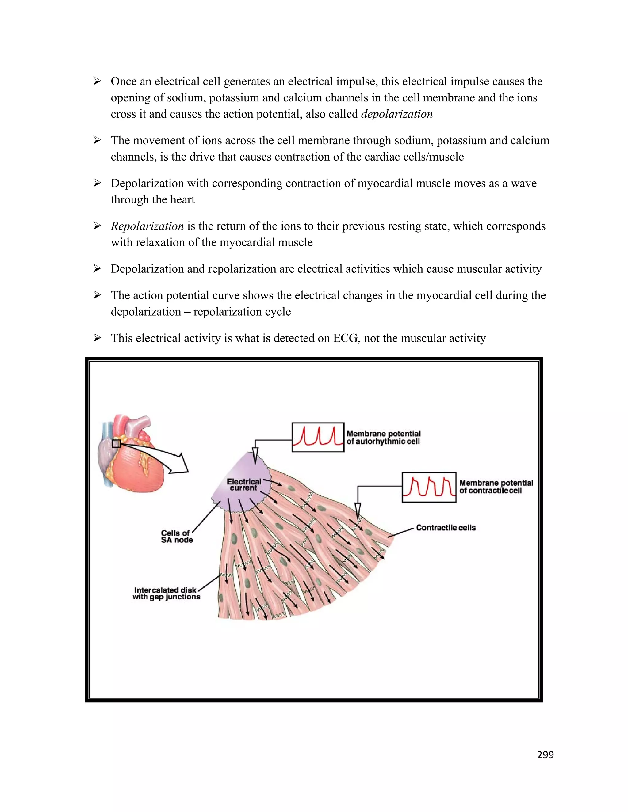 299 
 
 Once an electrical cell generates an electrical impulse, this electrical impulse causes the
opening of sodium, potassium and calcium channels in the cell membrane and the ions
cross it and causes the action potential, also called depolarization
 The movement of ions across the cell membrane through sodium, potassium and calcium
channels, is the drive that causes contraction of the cardiac cells/muscle
 Depolarization with corresponding contraction of myocardial muscle moves as a wave
through the heart
 Repolarization is the return of the ions to their previous resting state, which corresponds
with relaxation of the myocardial muscle
 Depolarization and repolarization are electrical activities which cause muscular activity
 The action potential curve shows the electrical changes in the myocardial cell during the
depolarization – repolarization cycle
 This electrical activity is what is detected on ECG, not the muscular activity
 