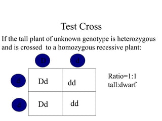 Test Crosses | PPT